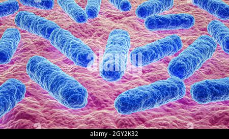 Mikrografie für Bakterienkolonien, Nahaufnahme, 3D-Rendering-Illustration. Mikrobiologie, Biologie, Bakteriologie, Krankheit, Wissenschaft, Gesundheitswesen, Medizin, Infektion Stockfoto