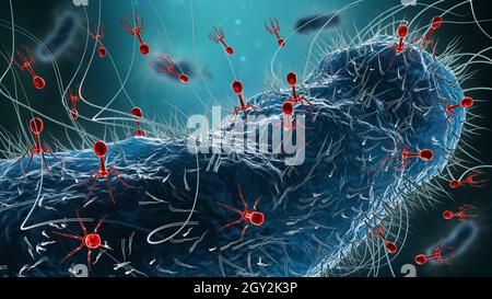 Generische Bakterien wie Escherichia coli infiziert durch Gruppe von Phagen oder Bakteriophagen 3D-Rendering Illustration. Mikrobiologie, Medizin, Wissenschaft, ich Stockfoto