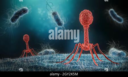 Phage-infecting Bakterium close-up 3D-Rendering-Illustration. Mikrobiologie, Medizin, Bakteriologie, Biologie, Wissenschaft, Gesundheitswesen, Medizin, Infektion c Stockfoto