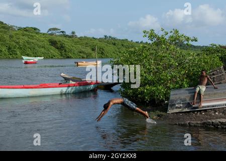 Junger Mann, der im Fluss Jaguaripe vor farbenfrohen Fischerkanus springt, die am Flussufer angedockt sind. Maragogipipain, Bahia, Brasilien. Stockfoto