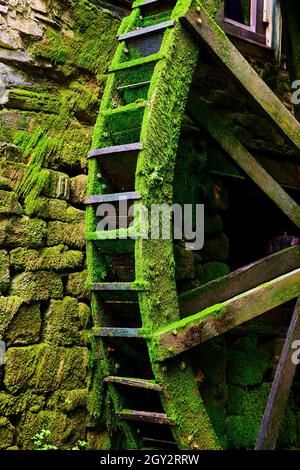 Detail der Wasserrad Wassermühle vertikal in grünem Moos bedeckt Stockfoto