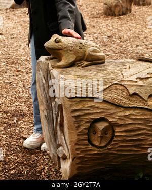 Kröte oder Frosch aus einem gefällten Baumstamm geschnitzt. Stockfoto