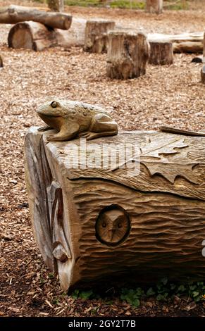 Kröte oder Frosch aus einem gefällten Baumstamm geschnitzt. Stockfoto