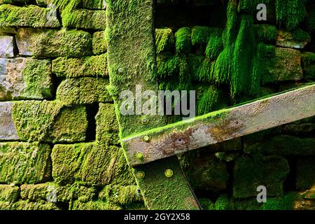 Detail der Klinge auf Wasserrad für Wassermühle mit Steinen und mit grünem Moos bedeckt Stockfoto