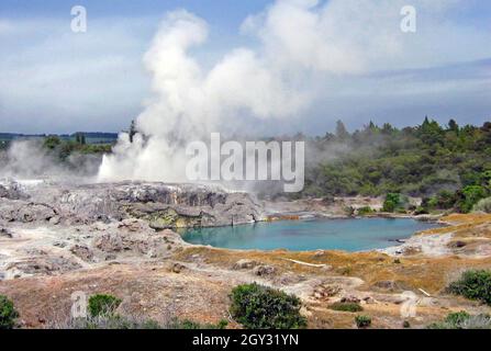 Pohutu Geyser dampft in der geothermischen Landschaft von Rotorua, Neuseeland. Das blaue Wasser unterhalb der Geyseritbasis des Geysirs ist ein beliebter Ort, genannt die Blauen, mit den Maori zum Schwimmen im Sommer. Stockfoto