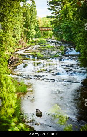 Blick durch Bäume von Wasserfällen, die den Fluss hinunter mit einer Brücke in der Ferne stürmen Stockfoto