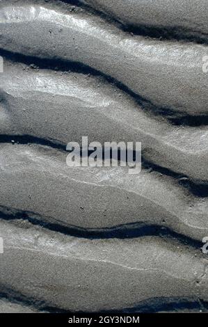 Sandrücken am Strand. Stockfoto