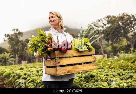 Eine nachdenkliche Köchin trägt eine Kiste voll frisch gepflücktem Gemüse auf einem Bio-Bauernhof. Selbstnachhaltige Köchin in einer Landwirtschaft Stockfoto