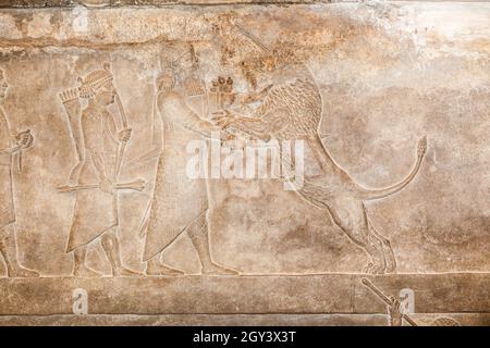 Assyrische Schnitzerei um 645 v. chr. aus Ninive. Einer Löwenjagd in der Arena, in der der Löwe auf den König zugetrieben wird, der sie tötet. Stockfoto