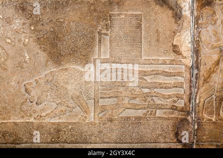 Assyrische Schnitzerei um 645 v. chr. aus Ninive. Einer Löwenjagd in der Arena, in der der Löwe auf den König zugetrieben wird, der sie tötet. Stockfoto