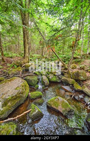 Kleiner Bach durch moosige Felsen in Wäldern Stockfoto
