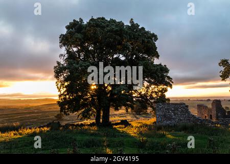 Die aufgehende Sonne erleuchtet den verlassenen Bauernhof von East Loups auf dem Hügel von Loups, Teesdale, County Durham, Großbritannien Stockfoto