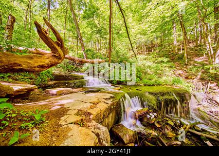 Nahaufnahme von kaskadierenden Wasserfällen im grünen Wald Stockfoto