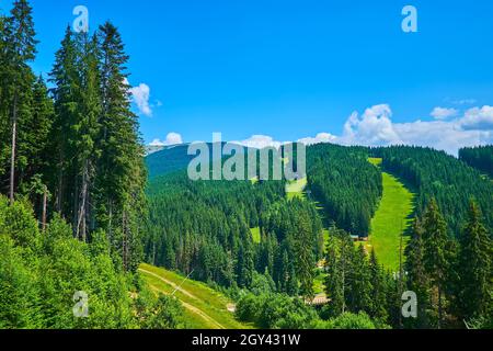 Genießen Sie die grünen Berghänge, bedeckt mit üppigen Fichtenwäldern, Wiesen und Skipisten, bedeckt mit Gras während der Sommersaison, Bukovel, Carpa Stockfoto