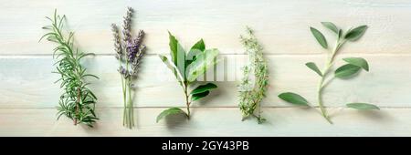 Frische aromatische Kräuter, über dem Kopf flaches Panorama auf einem rustikalen Holzhintergrund. Rosmarin, Lavendel, Lorbeerblatt, Thymian und Salbei, kulinarische Pflanzen Stockfoto