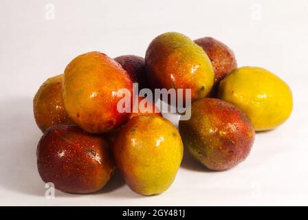 Jocotes in Guatemala, tropische Früchte, Spondias purea. Stockfoto