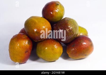 Jocotes in Guatemala, tropische Früchte, Spondias purea. Stockfoto