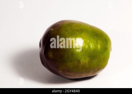 Jocotes in Guatemala, tropische Früchte, Spondias purea. Stockfoto