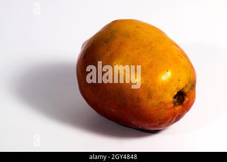 Jocotes in Guatemala, tropische Früchte, Spondias purea. Stockfoto