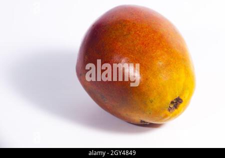 Jocotes in Guatemala, tropische Früchte, Spondias purea. Stockfoto