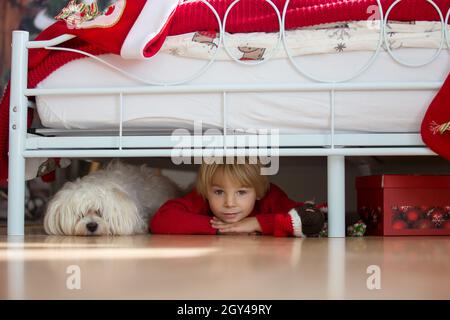 Kleines Kleinkind, versteckt unter dem Bett mit seinem Hund, maltesischen  weien Welpen, Angst vor Albtraum Monster Stockfotografie - Alamy