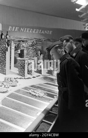 Soldaten bei der Leipziger Frühjahrsmesse vor 1963 Stand der Niederlande mit landwirtschaftlichen Erzeugnissen; Deutschland 1941. Soldaten an der Leipziger Frühjahrsmesse vor einem stehen, die von den Niederlanden mit landwirtschaftlichen Erzeugnissen; Deutschland 1941. Stockfoto