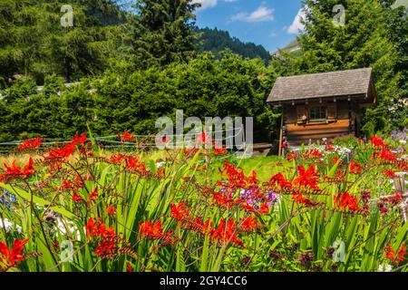 Grüne Landschaft von Trelechamp in Chamonix in der Haute Savoie in Frankreich Stockfoto