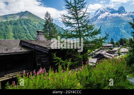 Grüne Landschaft von Trelechamp in Chamonix in der Haute Savoie in Frankreich Stockfoto