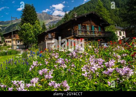 Grüne Landschaft von Trelechamp in Chamonix in der Haute Savoie in Frankreich Stockfoto