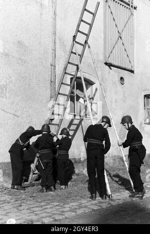 Eine Gruppe von der Kinderfeuerwehr stellt 5/6 einer Feuerwehrübung eine Leiter auf, Deutschland 1930er Jahre. Eine Gruppe von Junior Feuerwehrmänner bereitet eine Leiter während ein Feuerwehrmann, Deutschland 1930. Stockfoto