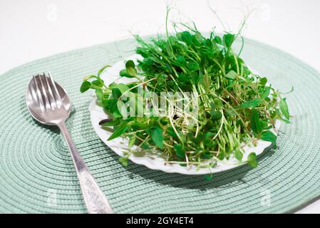 Verschiedene Mikrogrüns auf einem Teller. Gesunde Ernährung. Stockfoto