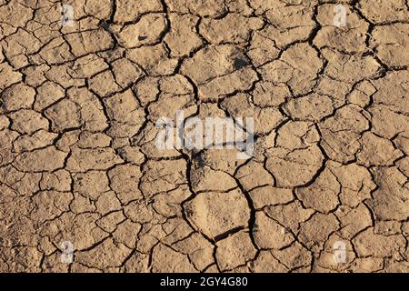 Risse des getrockneten Bodens in der trockenen Jahreszeit. Stockfoto