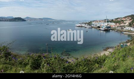 Panoramablick auf den Hafen von Moaña bei Ria de Vigo, mit Muschelfarmen, Pontevedra, Galicien, Spanien. Stockfoto