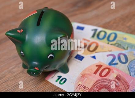 Sieversdorf, Deutschland. Oktober 2021. ABBILDUNG: Ein Sparschwein steht auf einem Tisch neben den Euro-Banknoten (posed shot). Am 07.10.2021 wird die Allianz Wealth-Studie „Allianz Global Wealth Report 2021“ vorgestellt. Quelle: Patrick Pleul/dpa-Zentralbild/dpa/Alamy Live News Stockfoto