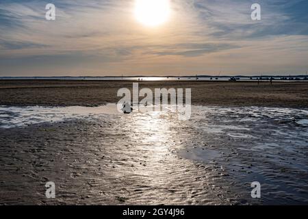 Abendstimmung bei Ebbe in Andernos-les-Bains am Bassin d'Arcachon, Frankreich Stockfoto