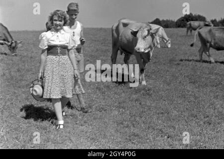 Der österreichischen Fictitious character Gusti Wolf macht das Ferien auf dem Lande, Deutschland 1930er Jahre sterben. Österreichische Schauspielerin Gusti Wolf im Urlaub auf dem Lande, Deutschland 1930. Stockfoto