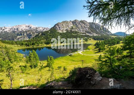 Panoramasicht auf den Großsee mit dem Traweng im Hintergrund, Tauplitzalm, Tauplitz, Ausseer Land, Österreich Stockfoto