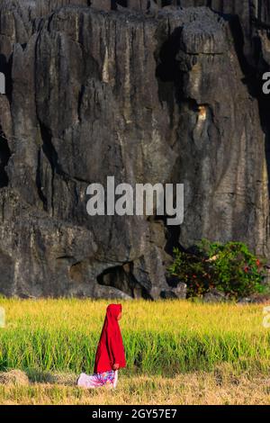 Erodierte Kalksteinformationen & Mädchen in rotem Hijab durch Reisfeld in dieser zum UNESCO-Weltkulturerbe gehörenden Karstregion, Rammang-Rammang, Maros, Süd-Sulawesi, Indonesien Stockfoto