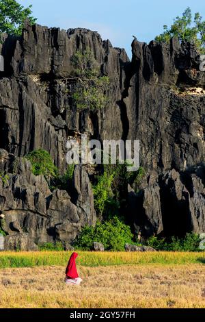 Erodierte Kalksteinformationen & Mädchen in rotem Hijab durch Reisfeld in dieser zum UNESCO-Weltkulturerbe gehörenden Karstregion, Rammang-Rammang, Maros, Süd-Sulawesi, Indonesien Stockfoto