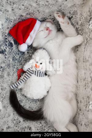 Ein kleines weißes Kätzchen mit schwarzem Schwanz in einem Weihnachtsmann-Hut schläft süß und liegt auf seiner Seite auf einem leichten, weichen Strickschal neben einem Schneemann-Spielzeug. Die Atmosphäre Stockfoto