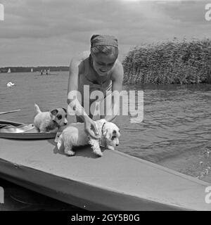 Werbefoto für KLEPPER Faltboot: eine junge Frau padelt mit zwei Welpen in einem Sehen, Deutschland 1930er Jahre. Werbung für ein Klepper foldboat: eine junge Frau mit zwei Welpen paddeln auf einem See, Deutschland 1930. Stockfoto