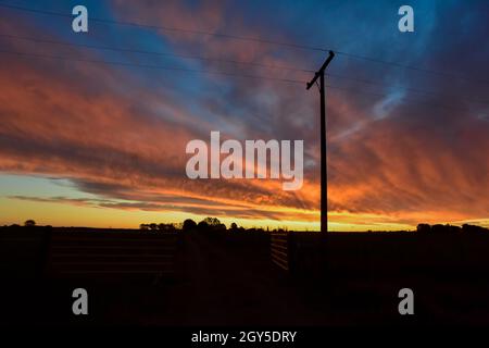 Pampas Sonnenuntergang , in der Provinz La Pampa Patagonien Argentinien. Stockfoto