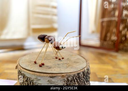 Eine Ameisenfigur aus Kastanien aus der Nähe Stockfoto