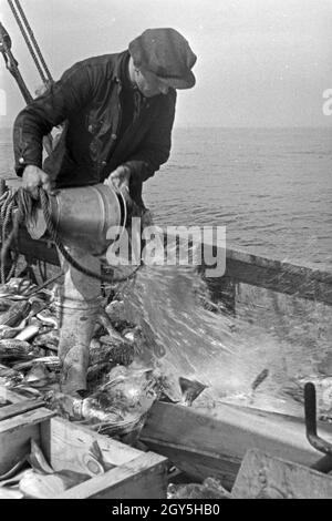 Ein Hochseefischer bei der Arbeit ein Deck, Deutschland 1930er Jahre. Ein tiefes Meer Fischer Arbeiten an Deck, Deutschland 1930. Stockfoto