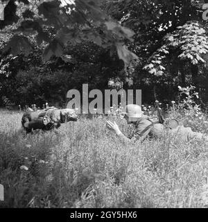 Original-Bildunterschrift: Brieftauben-Hund Senta, der gute Kamerad des Nachrichtensoldaten, Deutschland 1940er Jahre. Brieftaube Transport hund Senta, beste Genosse von ein Signal Corps Soldat, Deutschland 1940. Stockfoto