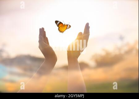Das Mädchen befreit den Schmetterling von Moment Konzept der Freiheit Stockfoto
