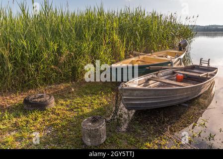 Fischerboote im Morgenlicht auf der Insel Reichenau, Bodensee, Baden-Württemberg, Deutschland Stockfoto