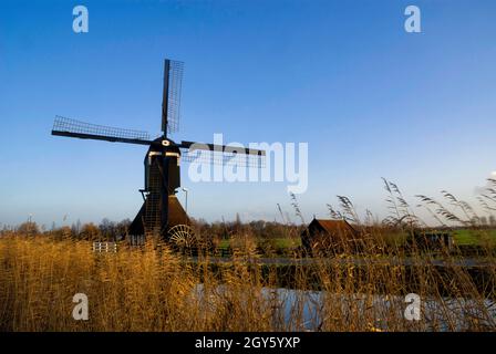 Windmühle die Gelkenesmolen in der Nähe des niederländischen Dorfes Groot-Ammers ist eine von vier Windmühlen, die entlang des Ammersche Boezem Kanals stehen Stockfoto