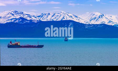 Die Fischwadenfänger in der Avacha Bucht auf der Halbinsel Kamtschatka Stockfoto