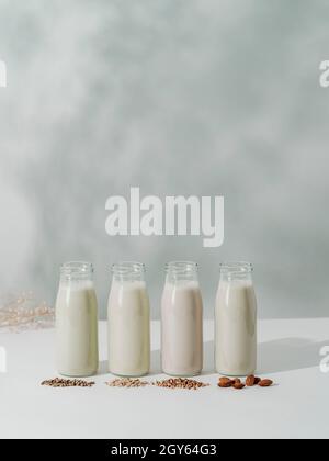 Verschiedene Arten von nicht-milchiger veganer Milch in Glasflaschen auf weißer Tischplatte mit floralen Schatten auf Wandhintergrund. Hanfsamen, Hafer, Buchweizen, Mandelmil Stockfoto